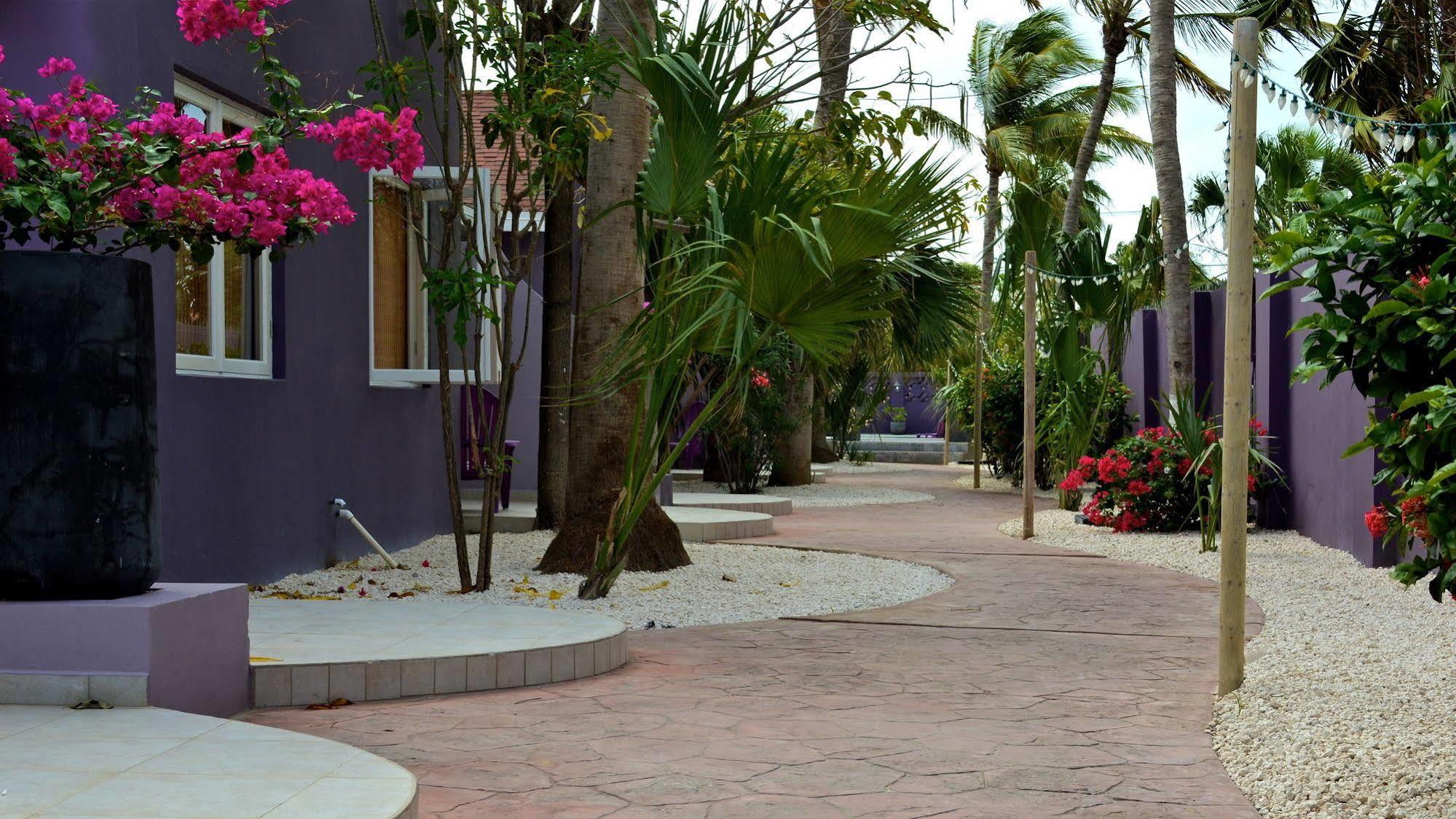 Cadushi Apartments اورانجستاد المظهر الخارجي الصورة